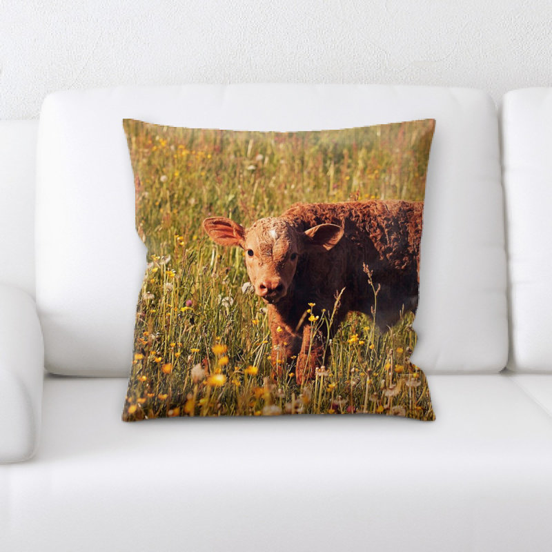 Coussin de veau