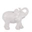 Trompette éléphant