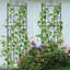 Otmar 182cm H x 2cm W Metal Fan Trellis
