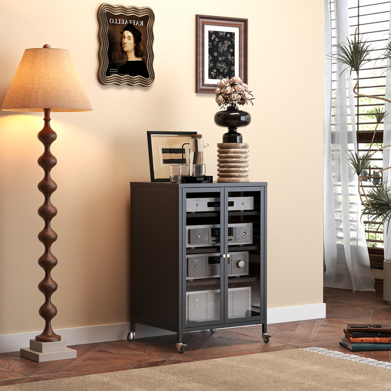 Mikenlee Media Storage Cabinet -Audio-Video Media Stand Require Assembly, Black