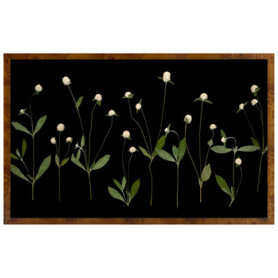 Plants & Flowers Print