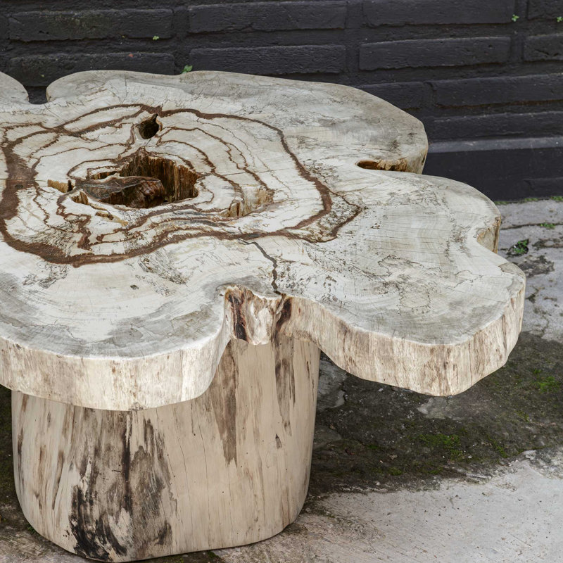  Anzalone Solid Wood Coffee Table