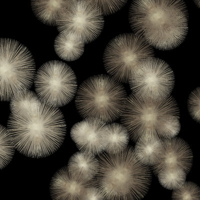 Pewter Sunbursts by Abby Young - Wrapped Canvas Art Prints
