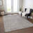  Machine Washable Indoor/Outdoor Chayden ACN1030 Rug-945397297