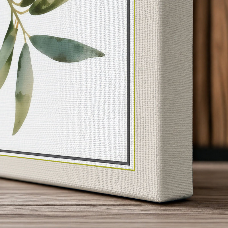 Olive Branch Botanical - Wrapped Canvas, 18x12 - 45.7 x 30.5 cm, Cream Border