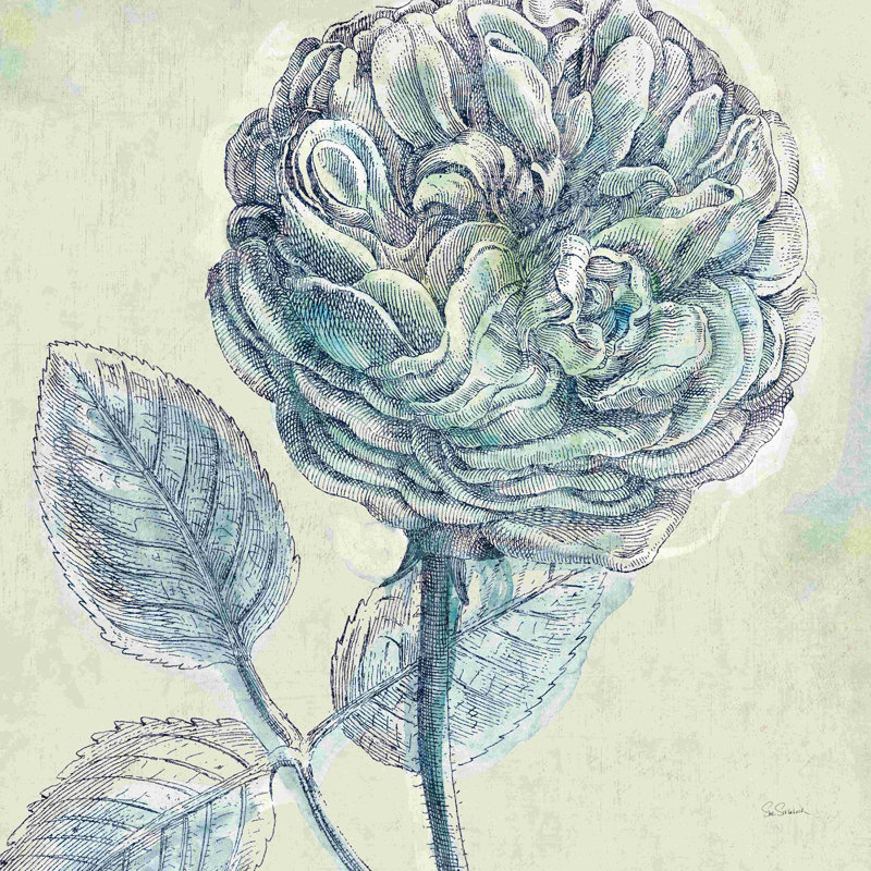«Belle Fleur III» par Sue Schlabach - peinture sur toile tendue, H 36 po x l 36 po, Cadre simple noir, Oui