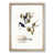 Oak Framed selected