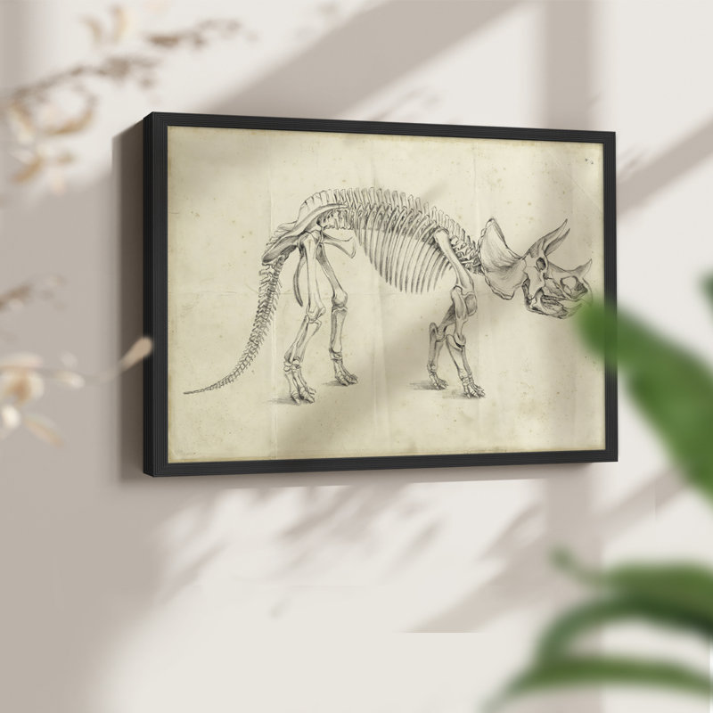 «Dinosaur Study II», reproduction encadrée, Noir, noir, noir, noir, H 16 po x l 20 po