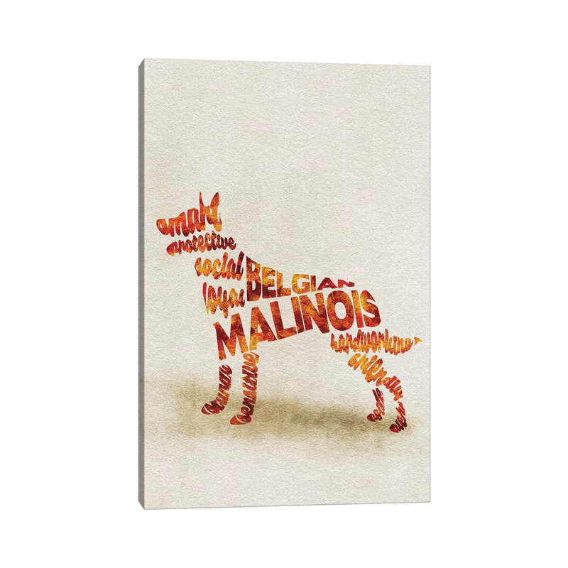 Belgian Malinois by Ayse Deniz Akerman - Wrapped Canvas Print, 20.32 cm H x 30.48 cm W