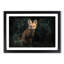 Portrait of a Fox in Abstract - Framed Print-55767186-55767187