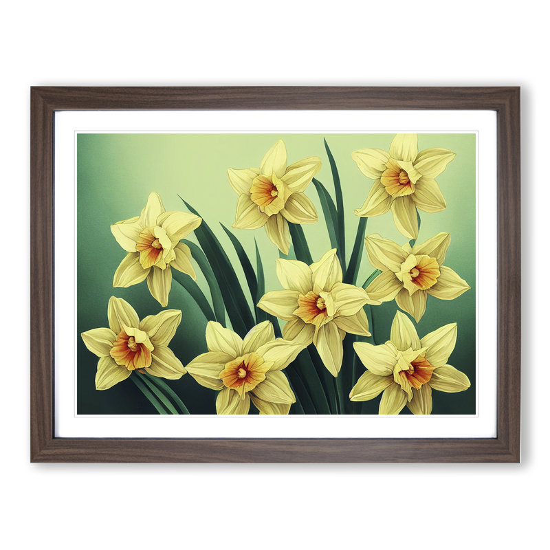 Pleasant Daffodil Flowers - Single Picture Frame Print, 25cm H x 34cm W x 2cm D, Walnut Framed
