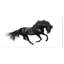 «Black Stallion in Motion», impression sur toile tendue-29491759