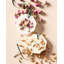 Orange Blossom Botanical Pallet