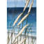 «Wild Herbs in the Wind Beach», reproduction encadrée Décoration intérieure-1981534286