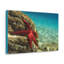 No Frame Print on Canvas-248878473