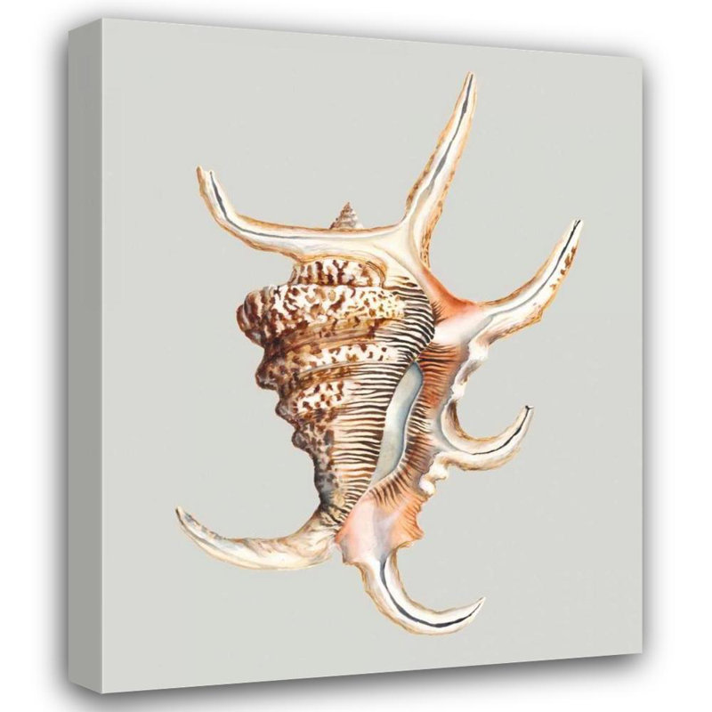 Reproduction d'art sur toile tendue par Beachcrest Home ™ par Willett, Michael, H 44 po x l 36 po