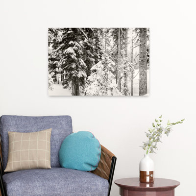 Snow Covered Evergreen Trees At Stevens Pass Washington State Usa Abstract Contemporary Forest Landscape Art