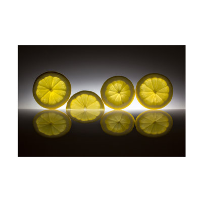 Wrapped Canvas Wall Art - Wieteke De Kogel 'Lemon' Wall Art for Living Room, Bedroom, or Office Décor - 30x47