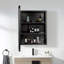 Armoire à pharmacie encastrée ou à fixation en surface avec 2 tablettes réglables Spero-1155747148