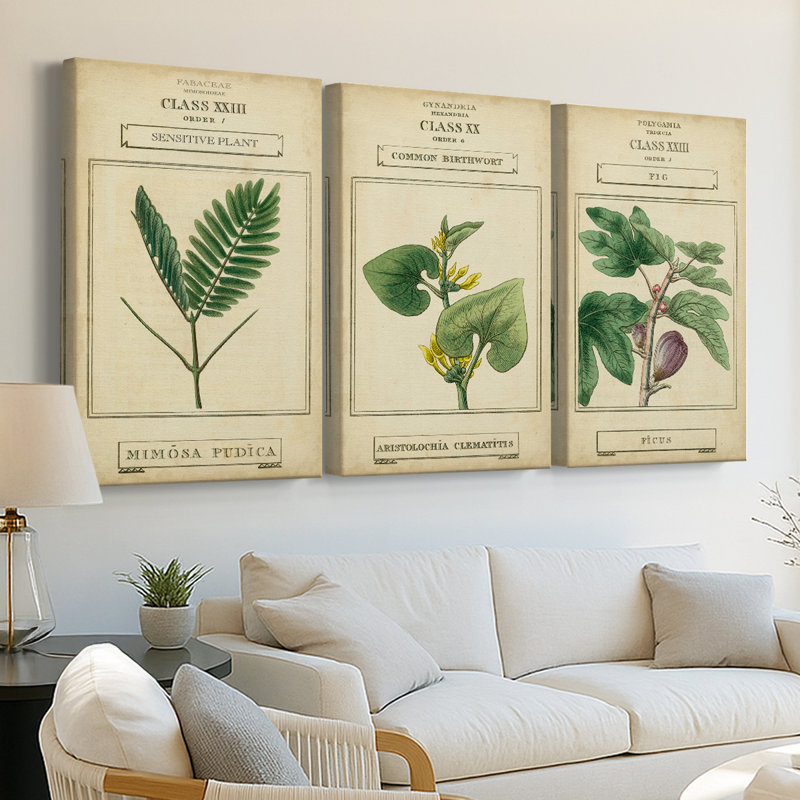 Linnaean Botany IV - Toile tendue sur mesure avec châssis - 3 pièces, H 60 po x l 120 po