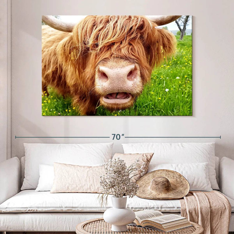 Brampt Long Hair Cow, 34" H x 51" W