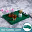 Adell Solid Wood Tray-1124848189
