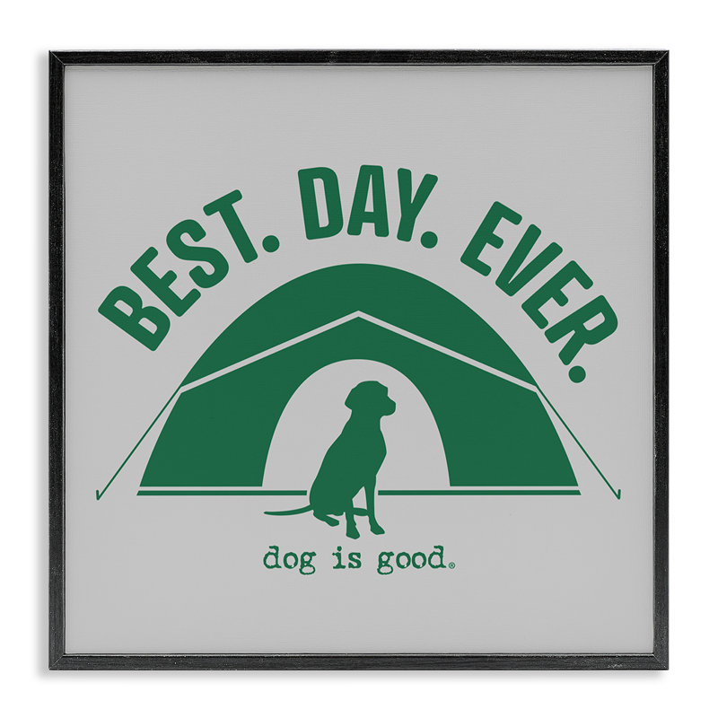  «Best Day Camping Dog», estampe numérique par Dog Is Good, H 12 po x l 12 po, Giclée encadrée noir minuit