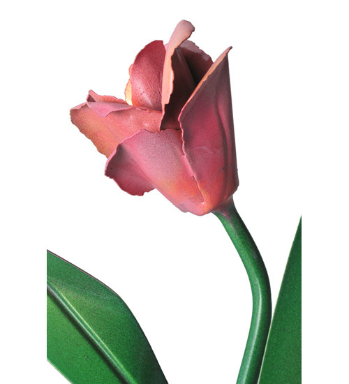 Tulip 1 - Light Wallchiere