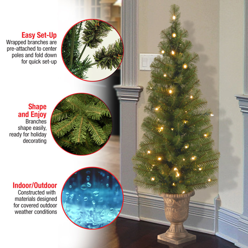 The Holiday Aisle® Montclair Spruce Entrance Tree with Clear Lights, 4'