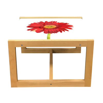 Jacob-Charles Sled Coffee Table