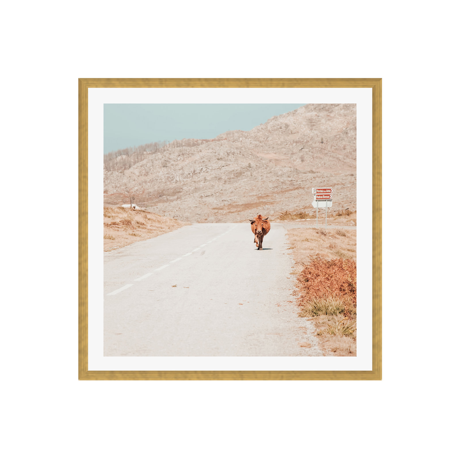 12" H x 12" W x 0.75" D, Yes, Gold Single Picture Framed