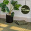 31cm L x 31cm W Solid Wood Interlocking Deck Deck Tile Kit-1636914629