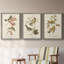 Oiseau de riz Wandering, reproduction d'art sur toile-1813864245-1813864143
