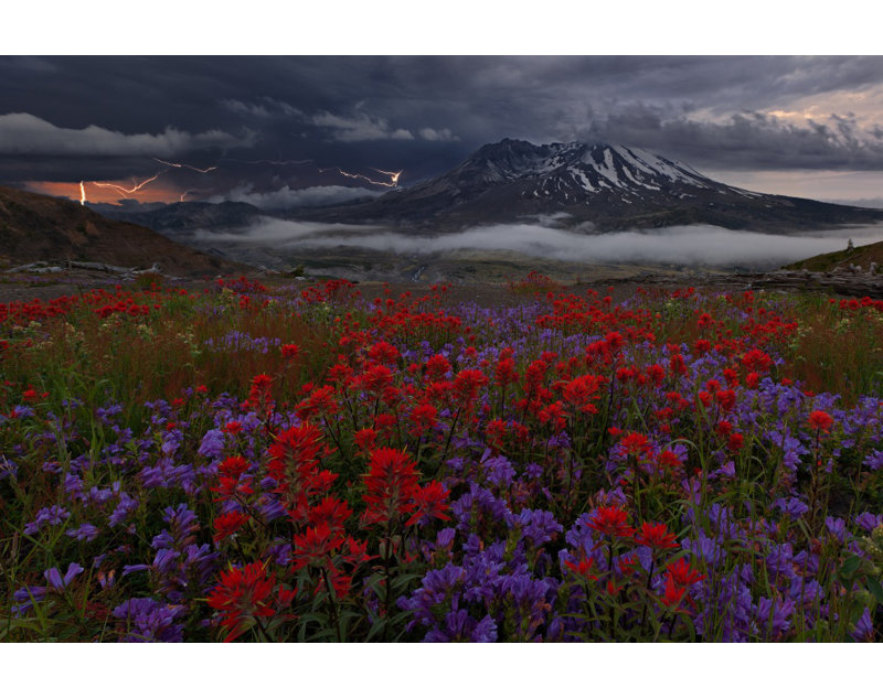 Wrapped Canvas Print, 76.2 cm H x 50.8 cm W