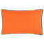 Samontha Abstract Rectangular Cushion