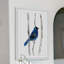 «Indigo Bunting» par Christine Lindstrom, reproduction d'art sur papier encadrée-1334891842
