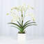 Faux Orchid Plant In White Vase-1049804022-1049804023