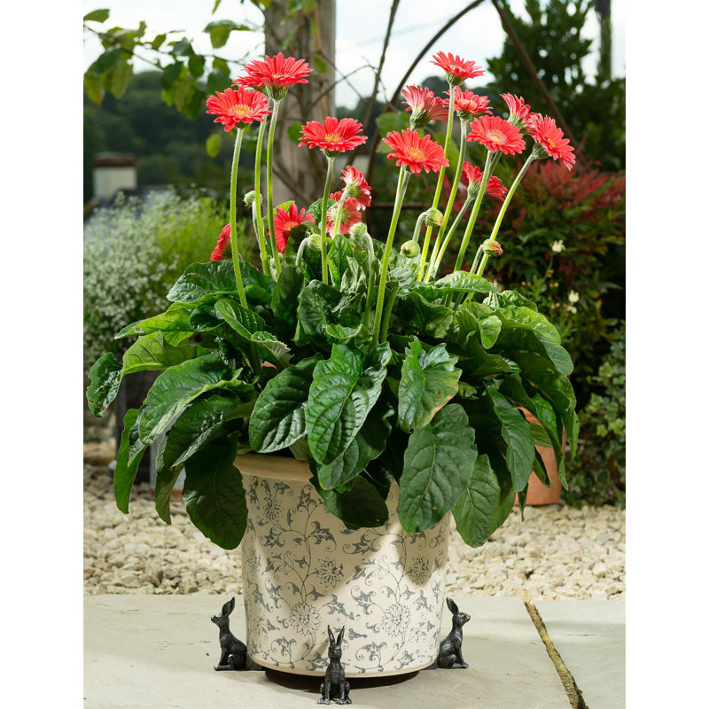 Eleni Weather Resistant Planter Feet, Silver