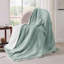 Couvre-lit Sherpa Bedsure GentleSoft ™ - couverture épaisse pour lit toutes saisons - cadeau idéal pour les étudiants-105504654-105504644