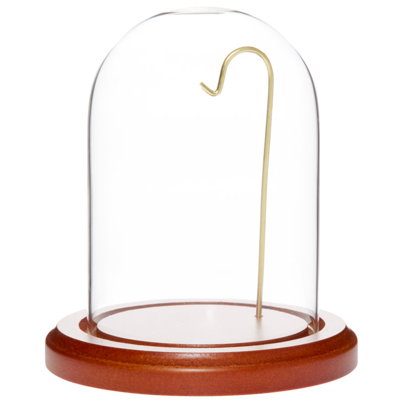 3" x 4" Watch Glass Display Dome Cloche, Walnut MDF Base / Brass Wire