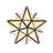 Regnild 4 - Light Craftsman Brown Star Pendant