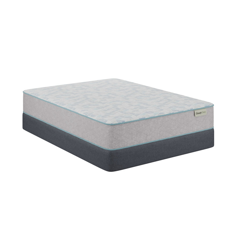 Slumberscape Twin Plush Gray Hybrid Mattress Set with Gel Memory Foam