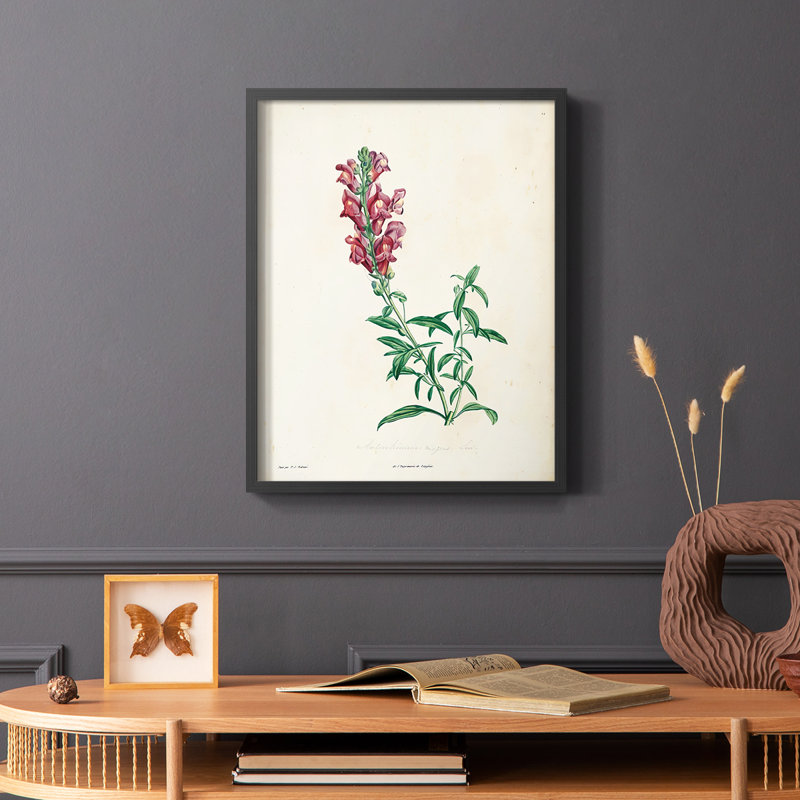 «Traditional Botanical I», reproduction encadrée - bois massif, Noir, H 28 po x l 22 po