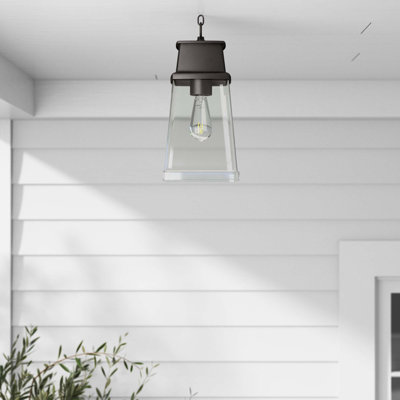 Luminaire suspendu d'extérieur à 1 ampoule de 14 po Adelyn
