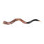 Polished Horn (Loose)
