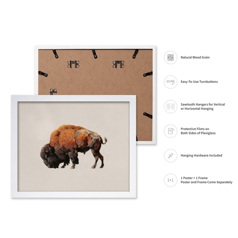 Bison bull, 24"H x 32"W, Poster, White Framed