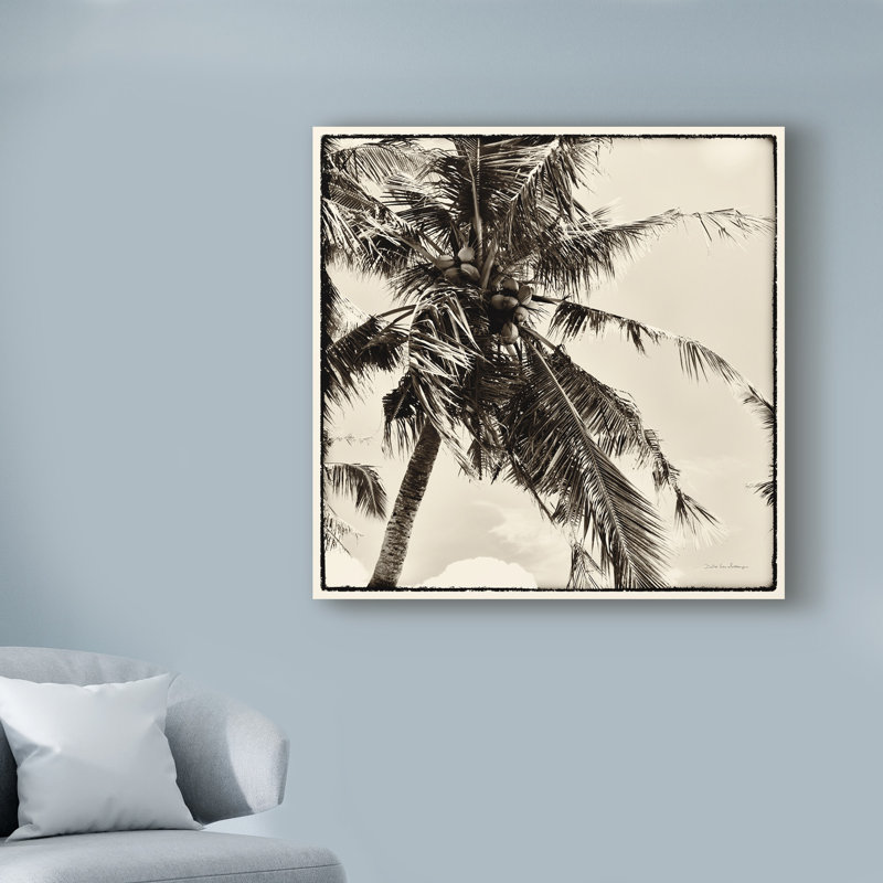 « palm tree sépia ii », reproduction de photo sur toile tendue, H 14 po x l 14 po x P 2 po