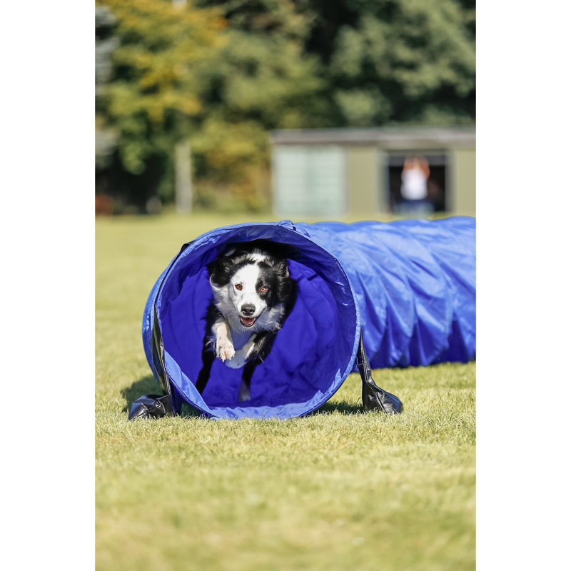 Agility Basic Open Tunnel for Dogs