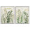  «Varied Leaves & Fronds», ensemble de 2 giclées par Hannah Dawson