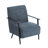 Koepke Sturdy Metal Frame Lounge Chair-1887183245